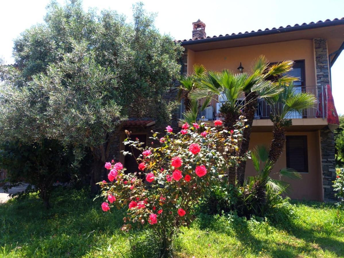 Viliam b&b Olbia Bagian luar foto