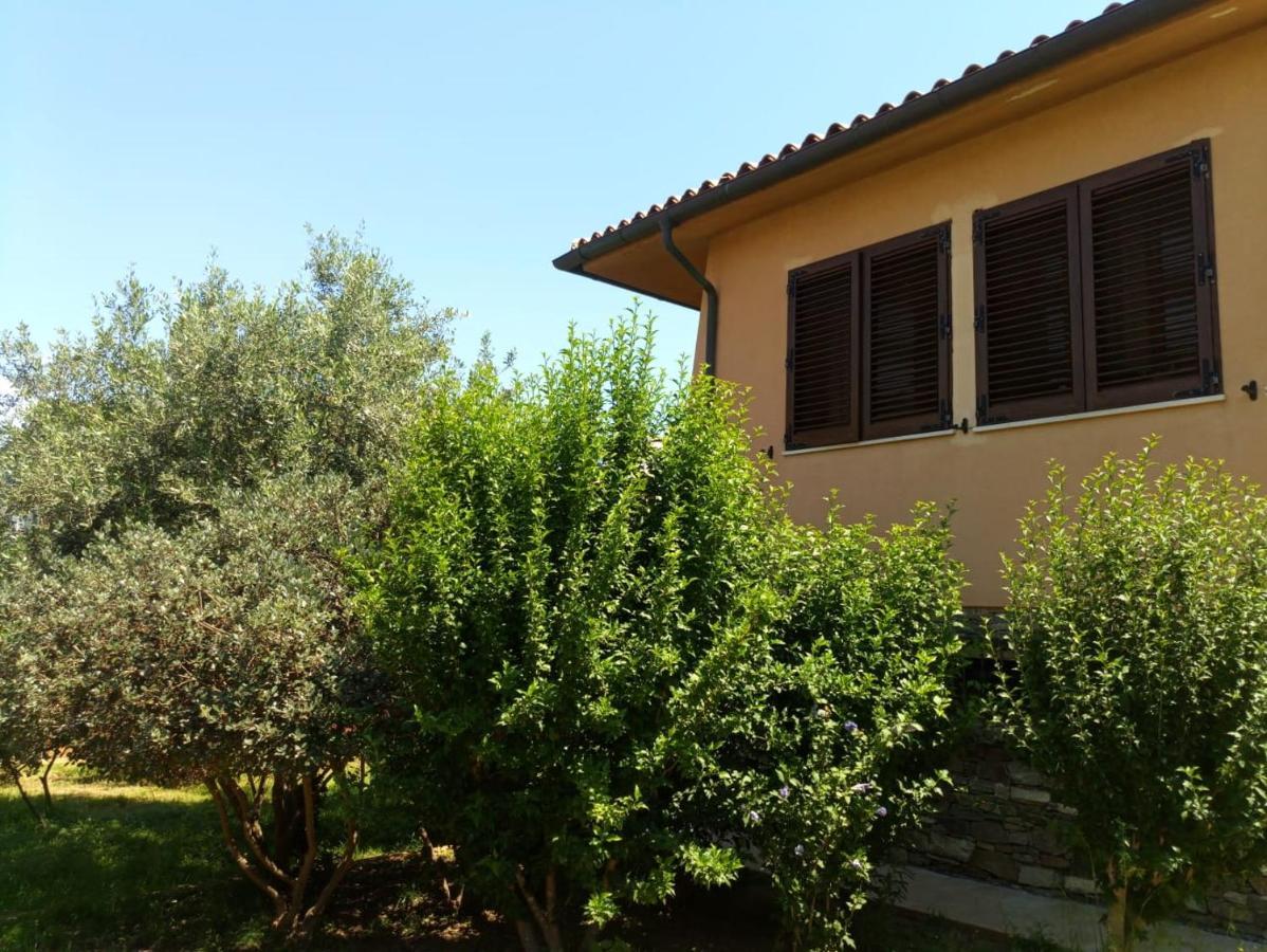 Viliam b&b Olbia Bagian luar foto